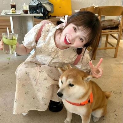 冷案